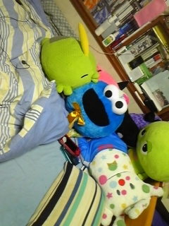 �ʂ������