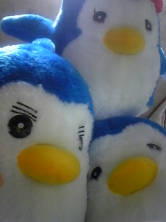 �s���h��