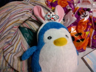 �s���h��