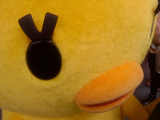 �����v��