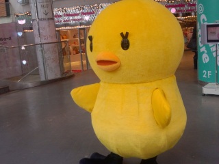 �����v��