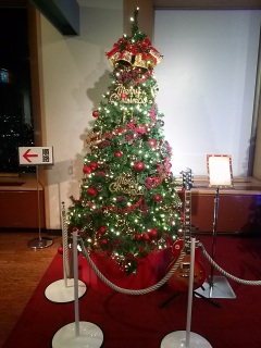 �����v��