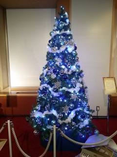 �����v��