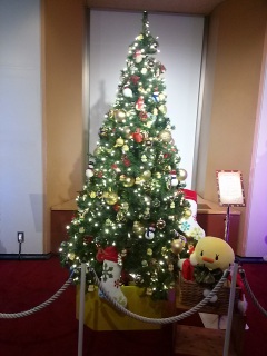 �����v��