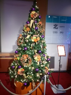 �����v��