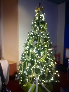 �����v��