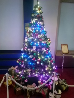 �����v��