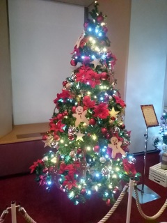 �����v��