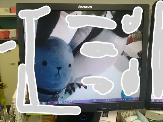 �c�L�E�^�B