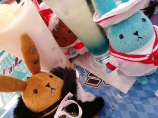 �A�j�v���J�t�F