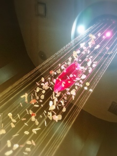 �X�N�G�j�J�t�F