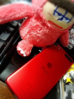 �����ۂ��ǂ����